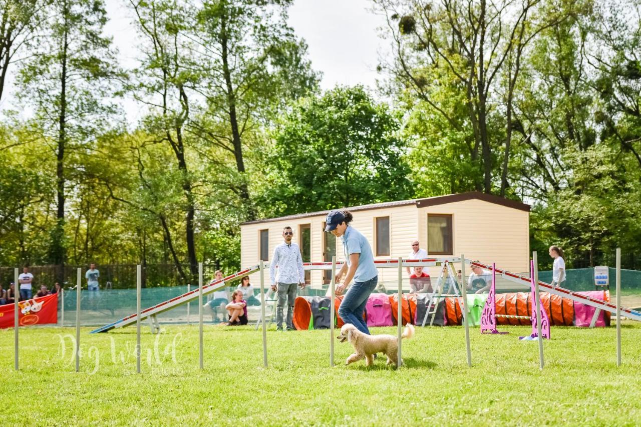 Route E58 - Camp Košice Villa Exterior foto